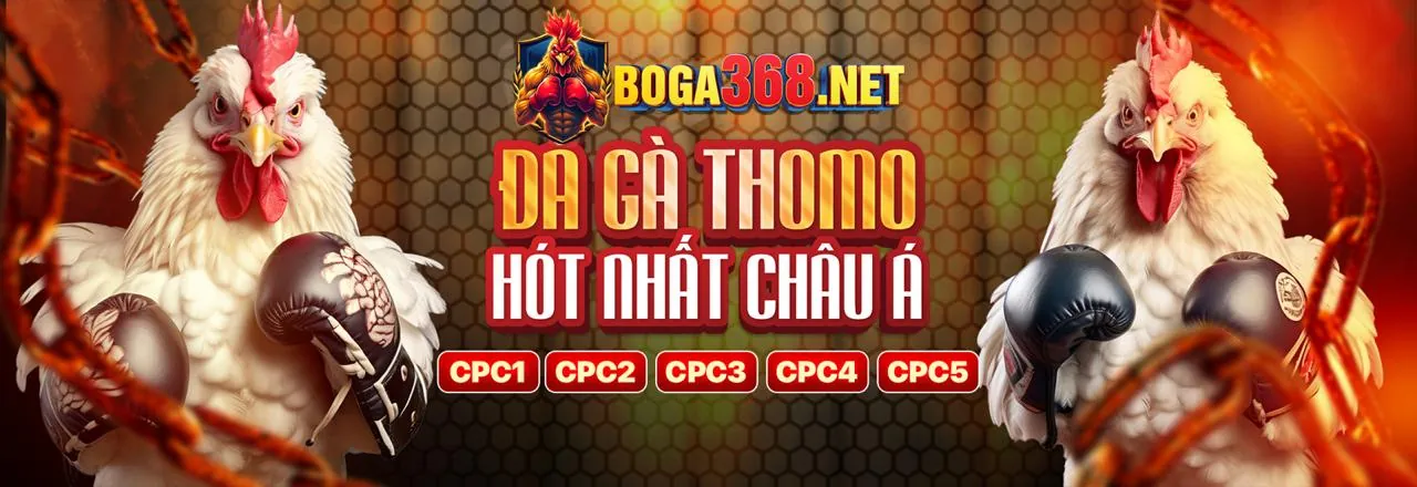 Đá Gà Trực Tuyến Hấp Dẫn tại EU99 Nhà Cái